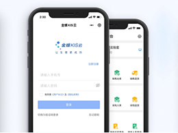 山東金蝶KIS云專業版,山東金蝶KIS云旗艦版,山東金蝶KIS云迷你版,山東金蝶KIS云標準版,山東深度網絡公司,山東金蝶財務軟件