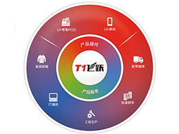 山東T1飛躍進銷存,山東友加暢捷軟件,山東財務業務一體化軟件,山東購銷存軟件,山東軟件公司,山東深度網絡公司
